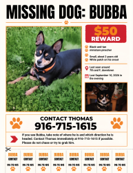Lost Male Dog last seen F & K STREET, Sacramento, CA 95814