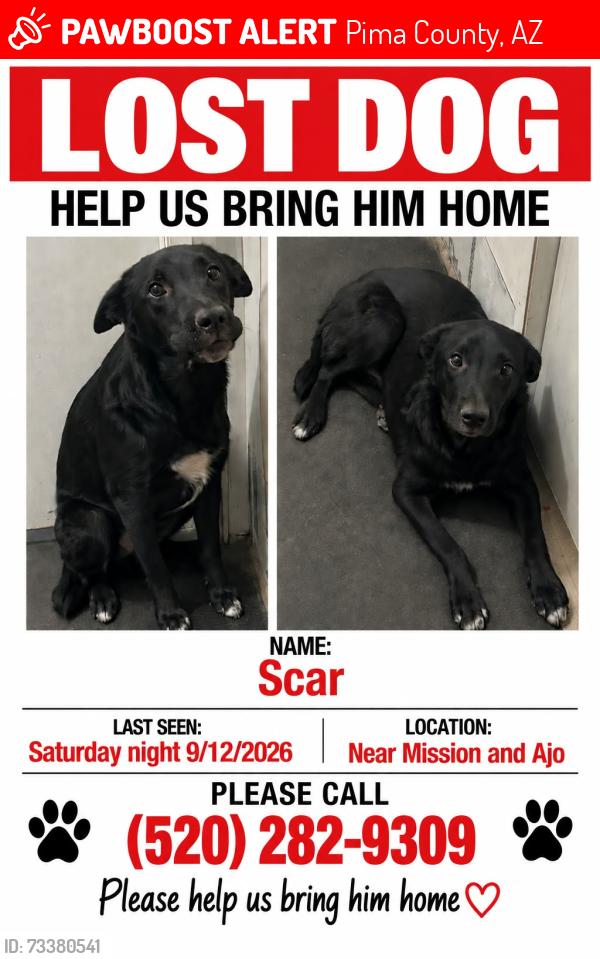 Lost Male Dog last seen Mission Rd and Ajo way, Pima County, AZ 85746