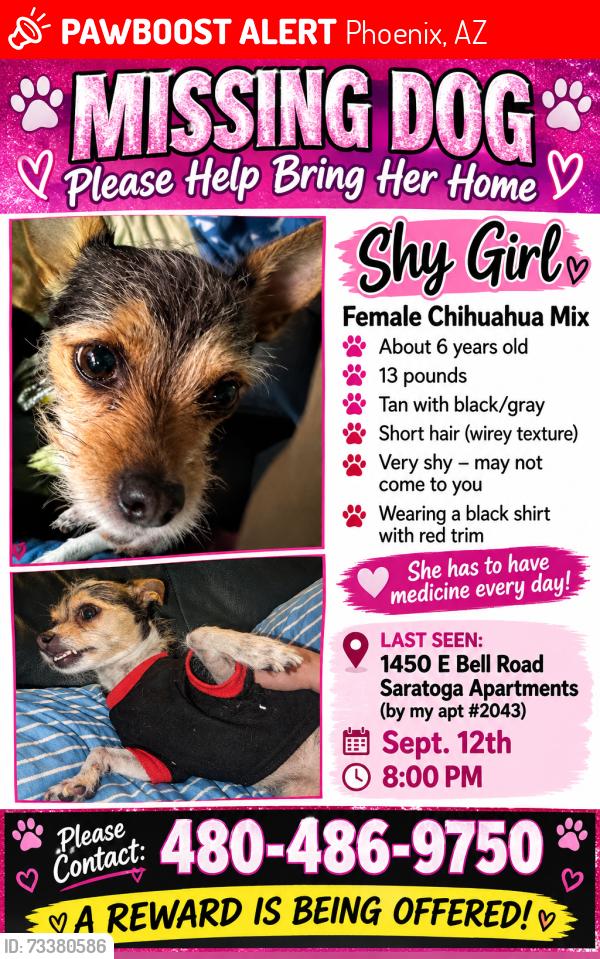 Lost Female Dog last seen Near th st f, Phoenix, AZ 85022
