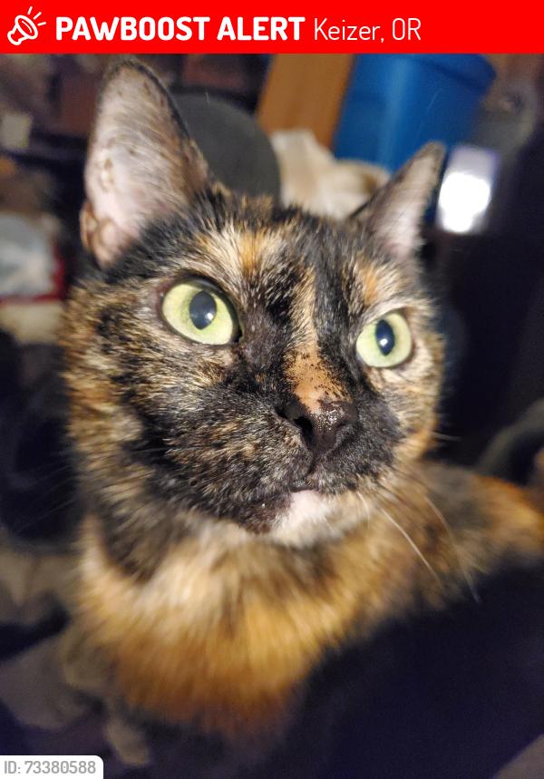 Lost Female Cat last seen Brooks and Cherry, Keizer, OR 97303