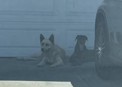 Found/Stray Unknown Dog last seen Bauer St, Ford Drive, West Covina, CA 91792