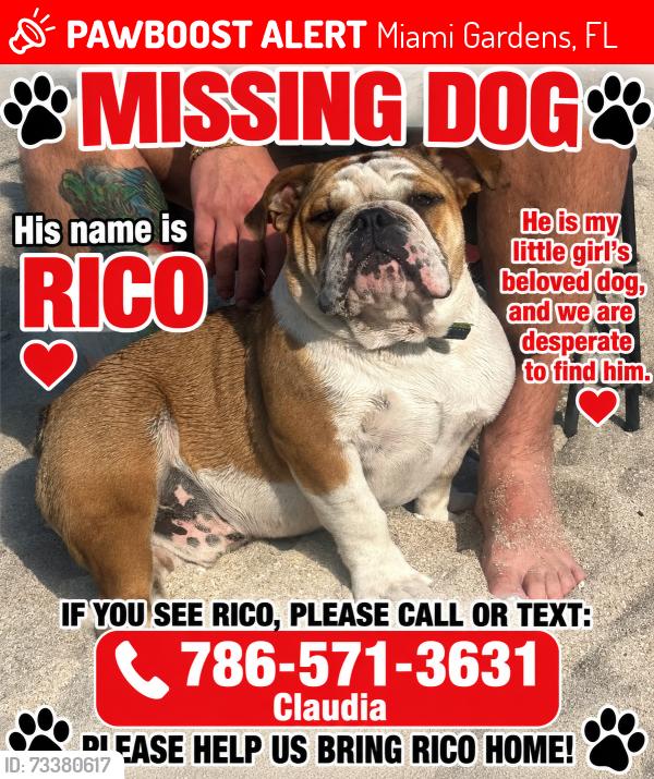 Lost Male Dog last seen Near nw 179 st Miami gardens 33056, Miami Gardens, FL 33056