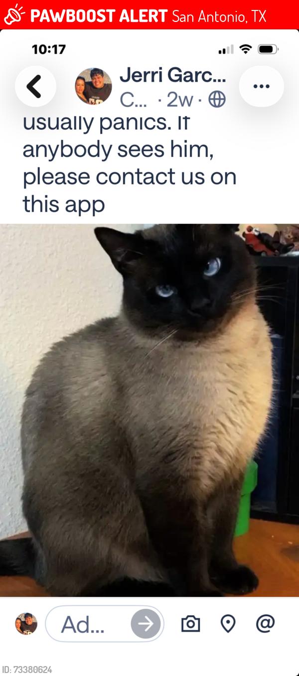 Lost Male Cat last seen Blanco Riad, San Antonio, TX 78248