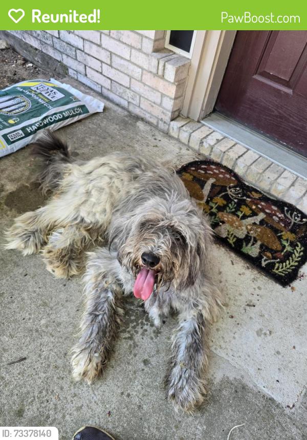 Reunited Unknown Dog last seen Near carson trail, Grand Prairie TX 75052, Grand Prairie, TX 75052