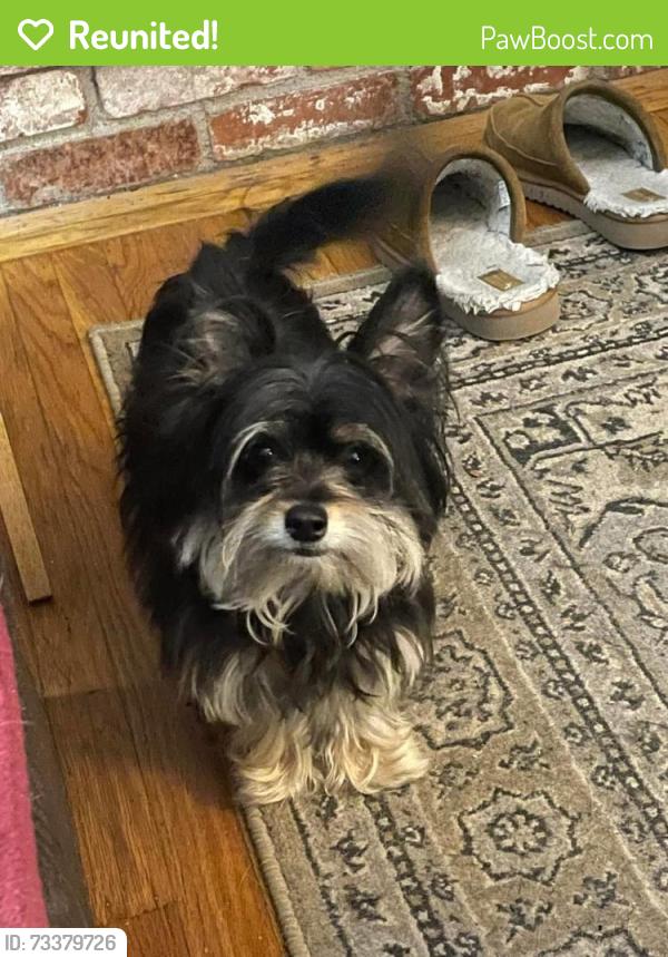 Reunited Female Dog last seen C Street and Hwy 160, Isleton, CA 95641
