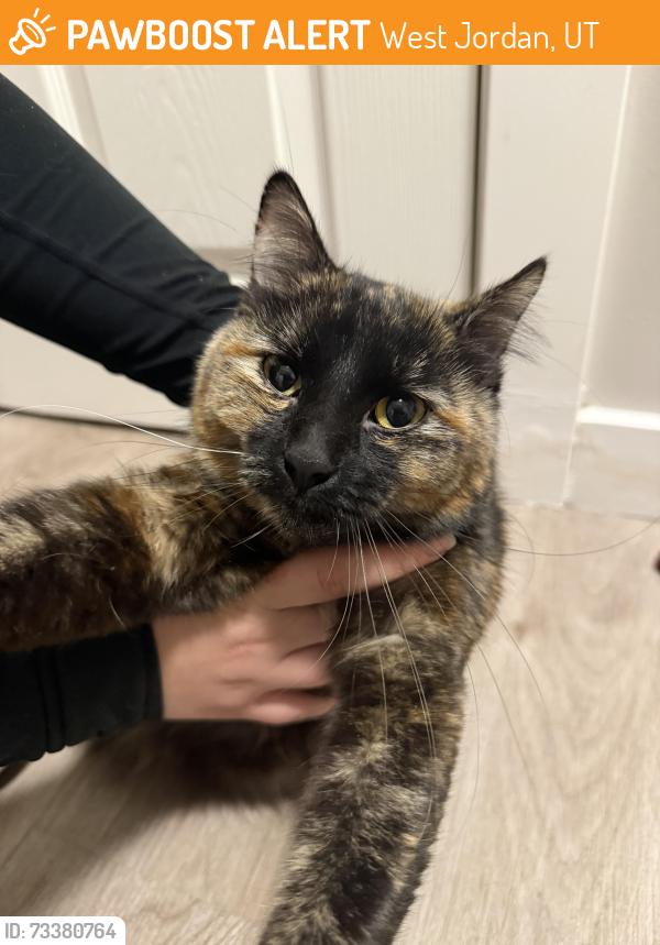 Found/Stray Female Cat last seen Near S 2320 W, West Jordan, UT 84084