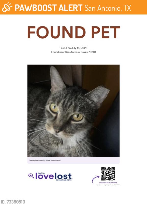 Found/Stray Unknown Cat last seen Near Fredericksburg Rd, San Antonio, TX 78201, San Antonio, TX 78201