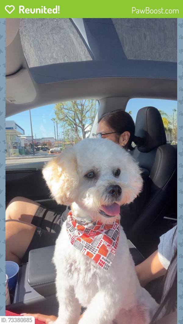 Reunited Male Dog last seen Alta Avenue and Beverly Blvd, Whittier, CA 90601