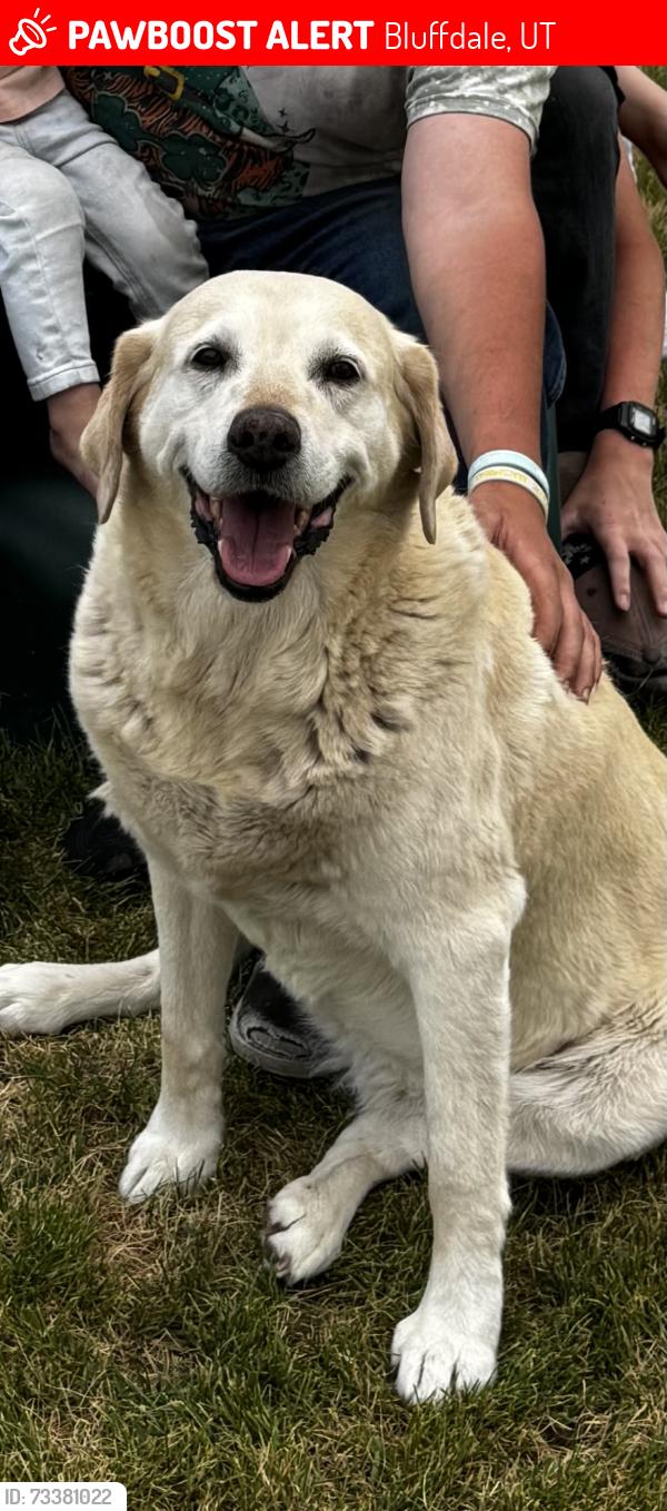 Lost Female Dog last seen Near South 2700 West, Bluffdale, UT 84065