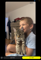 Lost Unknown Cat last seen Fisher and baseline, Ottawa, ON K1Z 5R7