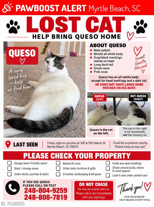 Lost Male Cat last seen Walking through neighbors backyards, Myrtle Beach, SC 29579