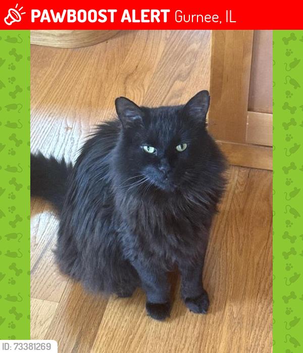 Lost Female Cat last seen Heather Ridge Golf Course, Gurnee, IL 60031