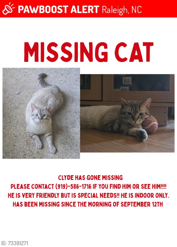 Lost Male Cat last seen Highway 42., Raleigh, NC 27603