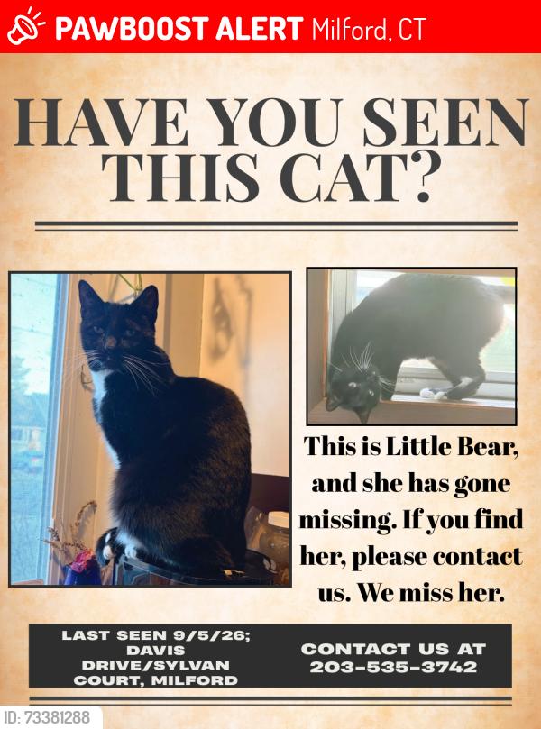 Lost Female Cat last seen Sylvan Court, New Haven Ave, Milford, CT 06460