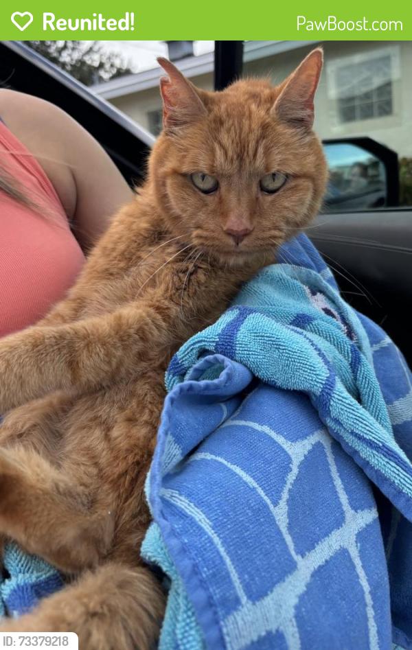 Reunited Unknown Cat last seen Port St. Lucie, Port St. Lucie, FL 34986