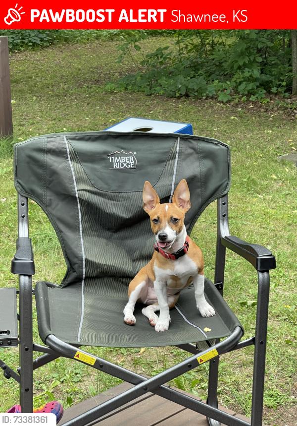 Lost Male Dog last seen 75th and Quivira, Shawnee, KS 66203