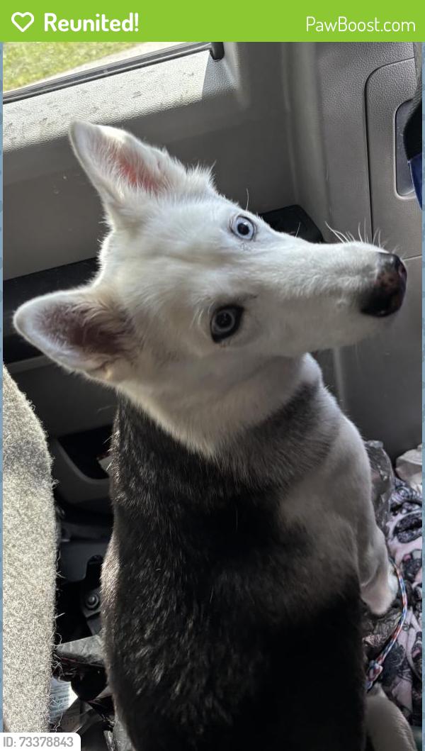 Reunited Unknown Dog last seen Port St. Lucie, Port St. Lucie, FL 34986