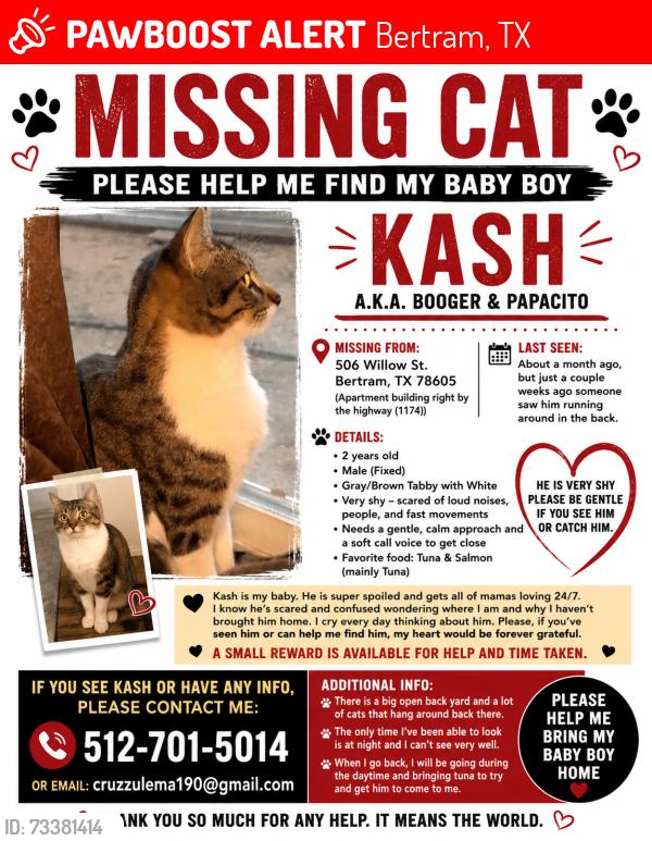 Lost Male Cat last seen Willow St., Bertram, TX 78605
