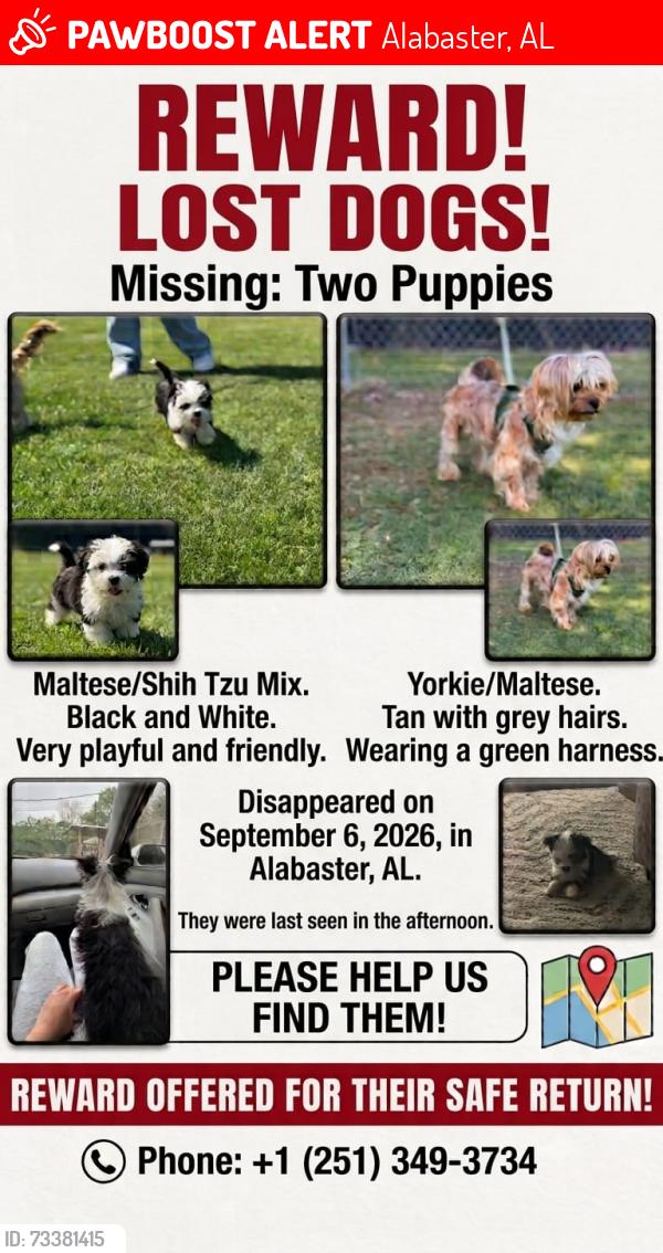 Lost Male Dog last seen Alabaster alabama, Alabaster, AL 35007