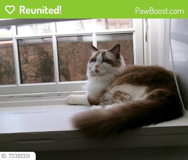 Reunited Male Cat last seen Near Pondfield Rd, Bronxville, NY 10708