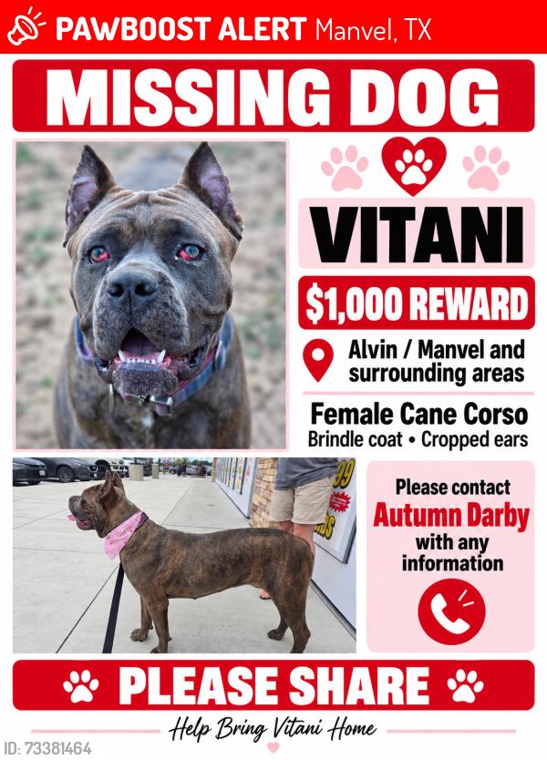Lost Female Dog last seen ridge rd, Manvel, TX 77578