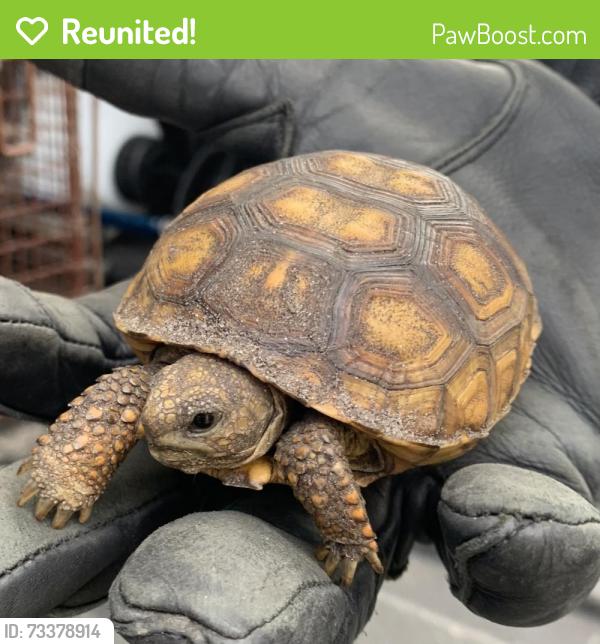 Reunited Unknown Other last seen Port Saint Lucie, Port St. Lucie, FL 34986