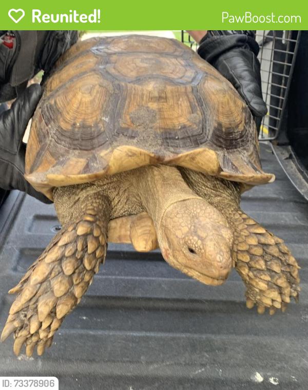 Reunited Unknown Other last seen Port Saint Lucie, Port St. Lucie, FL 34986