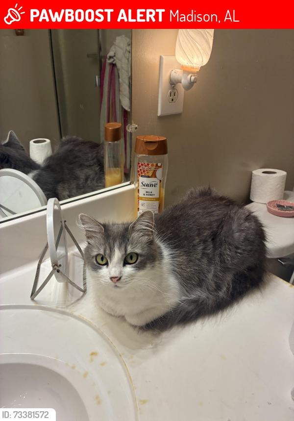 Lost Female Cat last seen Sanctuary of Indian creek, Madison, AL 35758