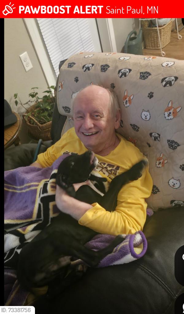 Lost Male Dog last seen Lincoln ave and Oxford st. Saint Paul,MN, Saint Paul, MN 55105