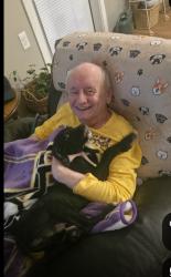 Lost Male Dog last seen Lincoln ave and Oxford st. Saint Paul,MN, Saint Paul, MN 55105