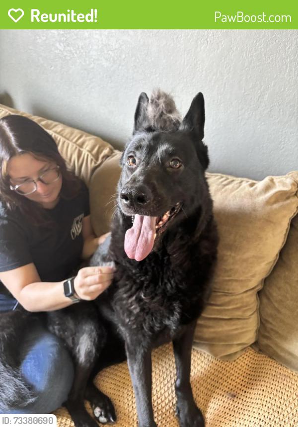Reunited Female Dog last seen Nicholas and Villa Venecia, Temecula, CA 92591