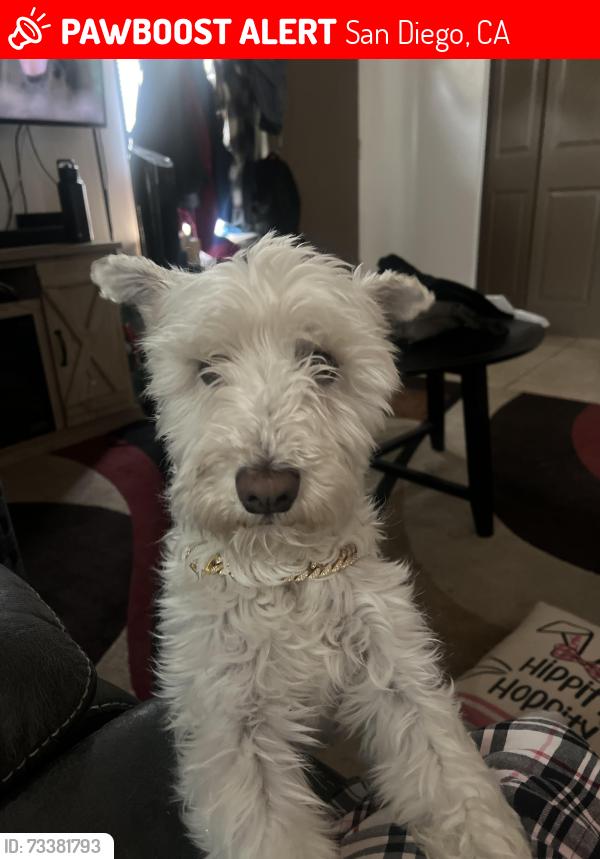 Lost Male Dog last seen Casey, San Diego, CA 92139
