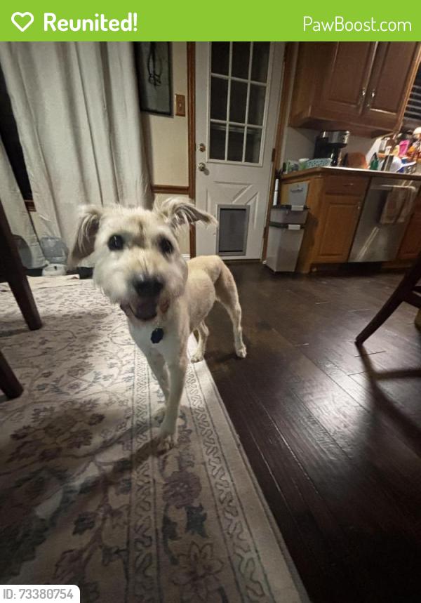 Reunited Male Dog last seen West park neighborhood., Keller, TX 76248