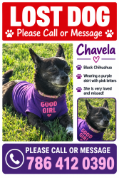 Reunited Female Dog last seen Near e portofino landings boulevard, Fort Pierce, FL 34947