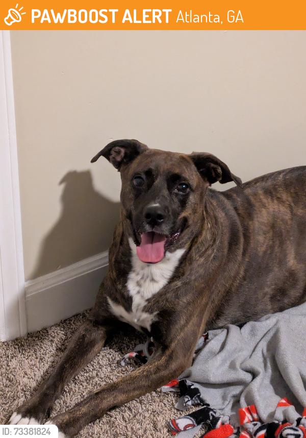 Found/Stray Female Dog last seen Near the water treatment plant in Dunwoody GA, Atlanta, GA 30360