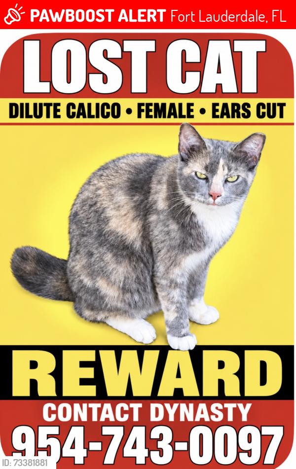 Lost Female Cat last seen Broward blvd and Sw 12 Ave, Fort Lauderdale, FL 33312