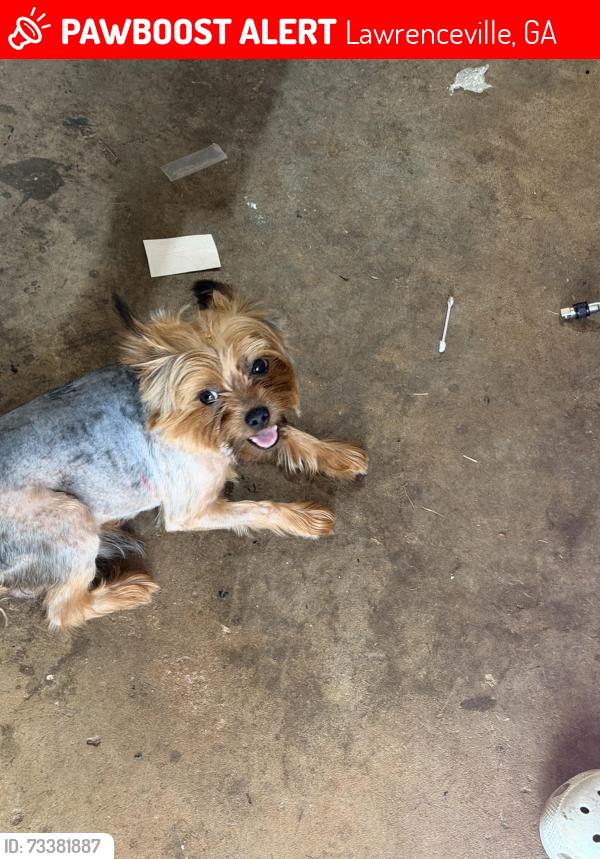 Lost Male Dog last seen Lawrenceville suwanee, Lawrenceville, GA 30043
