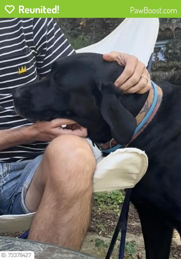 Reunited Male Dog last seen Arlington and Sandy Lane, Riverside, CA 92505
