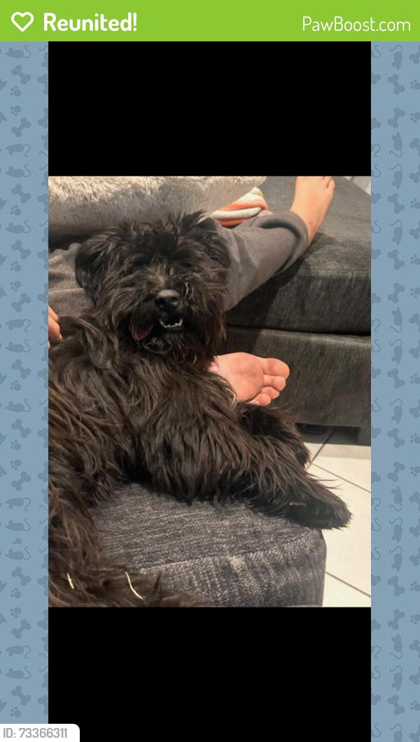 Reunited Female Dog last seen Near village pine dr, San Diego, CA 92173