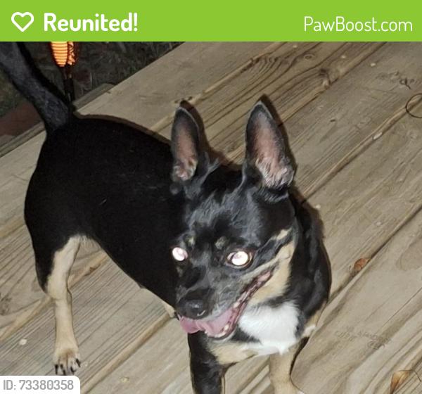 Reunited Male Dog last seen Brookshire Rd, Asheville, NC 28803