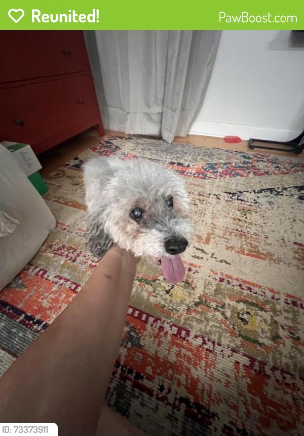 Reunited Male Dog last seen West Blue Ridge and flt Rock Middle School, Flat Rock, NC 28731