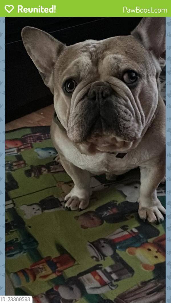 Reunited Male Dog last seen Woodman, San Diego, CA 92114