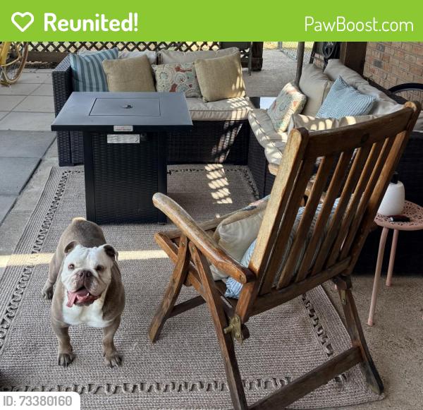 Reunited Male Dog last seen Stonybrook, North Richland Hills, TX 76182