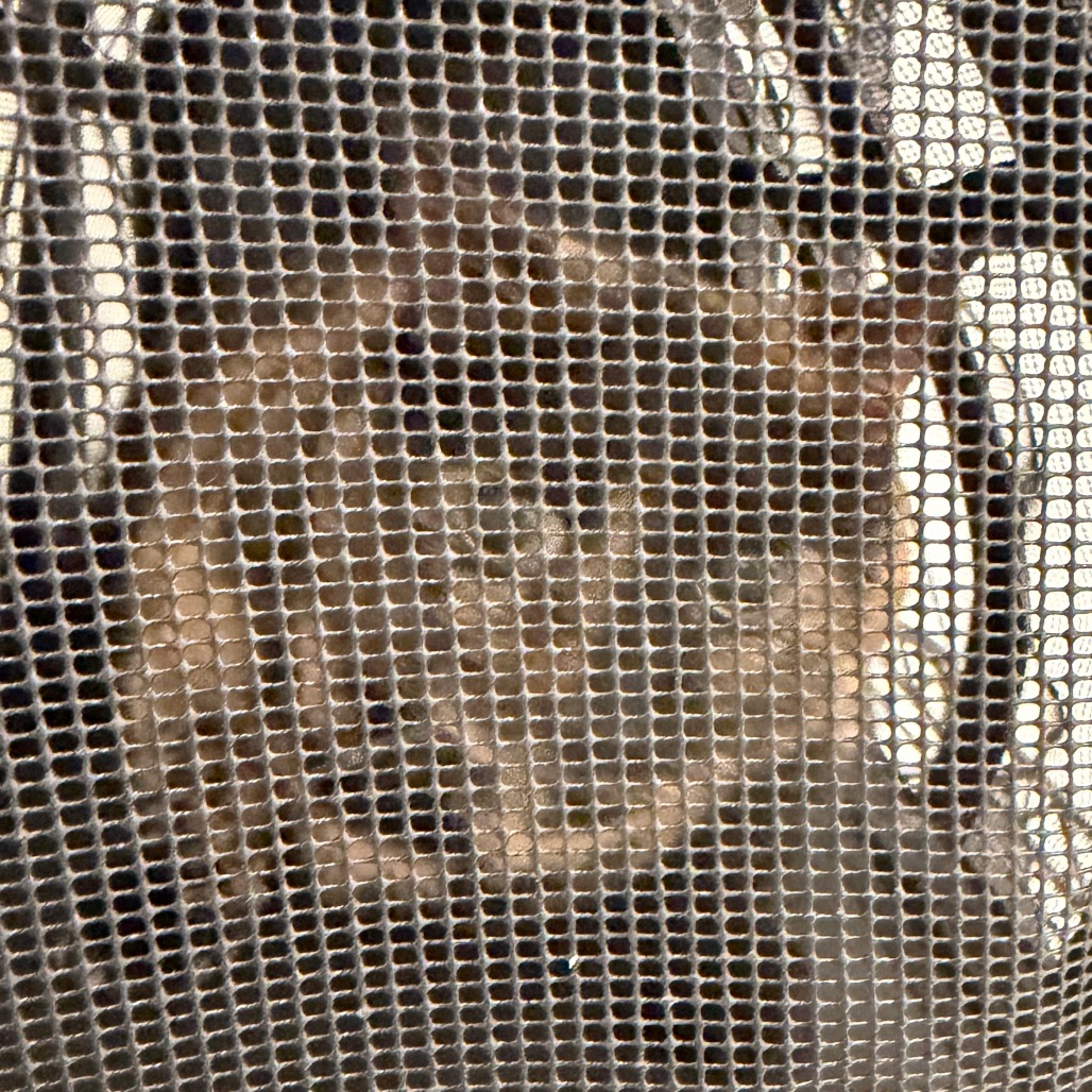 Shelter Stray Female Cat last seen , Animal Care & Control Team of Philly, 111 W Hunting Park Ave, Philadelphia, PA 19140, USA