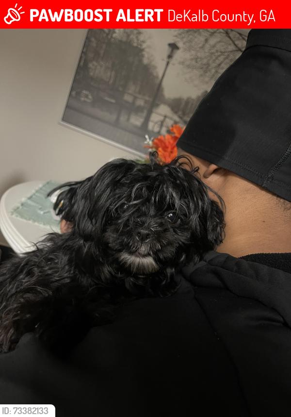 Lost Female Dog last seen Heritage oaks dr and mainstreet, DeKalb County, GA 30088