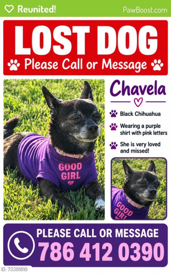 Reunited Female Dog last seen Near e portofino landings boulevard, Fort Pierce, FL 34947