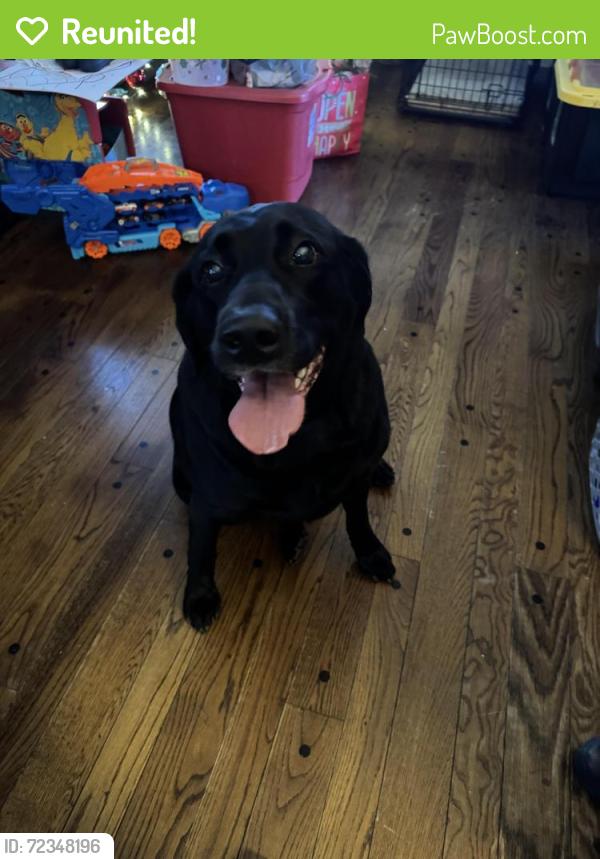 Reunited Unknown Dog last seen Hickory Crest and Kirby Parkway, Memphis, TN 38119