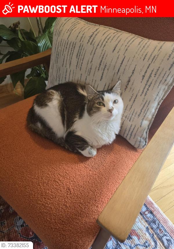 Lost Female Cat last seen 39th ave n and Nevada Ave, Minneapolis, MN 55427