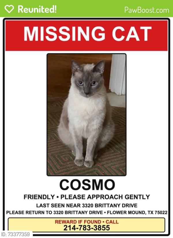 Reunited Male Cat last seen Brittany Dr., Flower Mound, TX 75022
