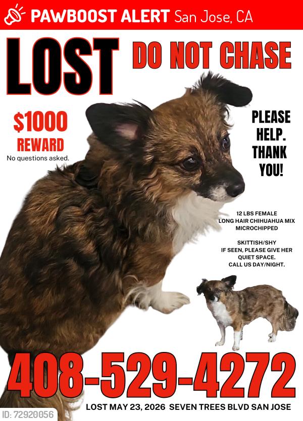 Lost Female Dog last seen Seven Trees Blvd & E Capitol Expy, San Jose, CA 95111